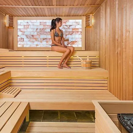 балнеохотел - “ свети спас 5* “ , Appartement *